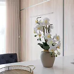 Avenida Da Liberdade Luxury
