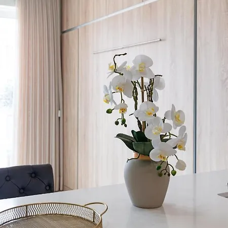 Avenida Da Liberdade Luxury